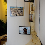 ADAFA Cremona 2013 (32).JPG