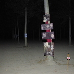 "TUTTO IN UNA NOTTE" 019